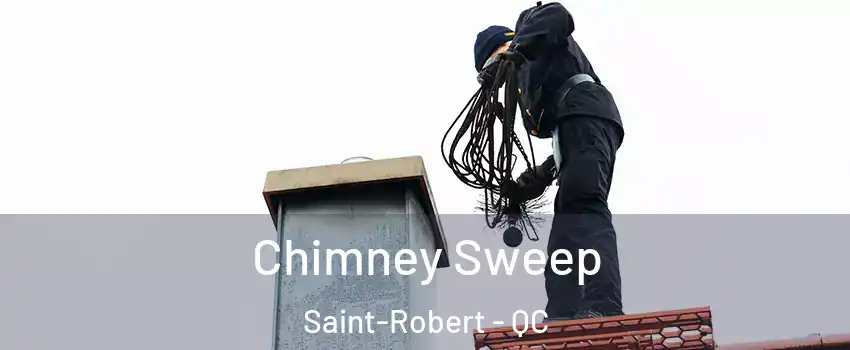  Chimney Sweep Saint-Robert - QC