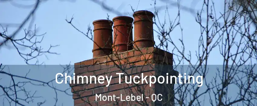  Chimney Tuckpointing Mont-Lebel - QC