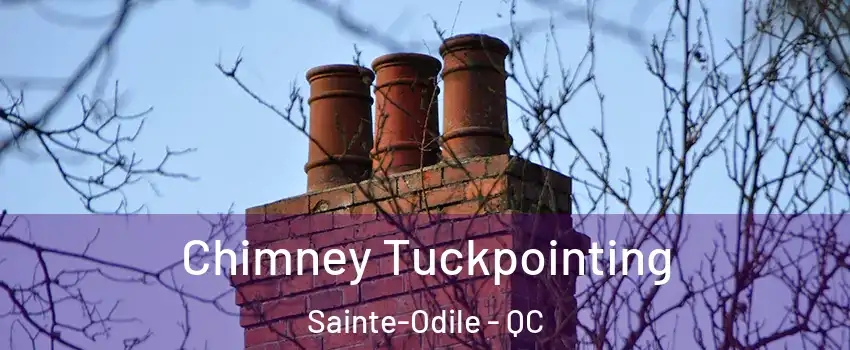  Chimney Tuckpointing Sainte-Odile - QC