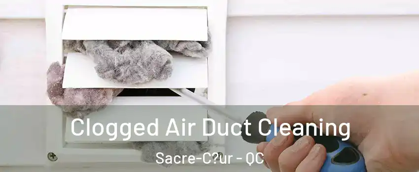  Clogged Air Duct Cleaning Sacre-C?ur - QC
