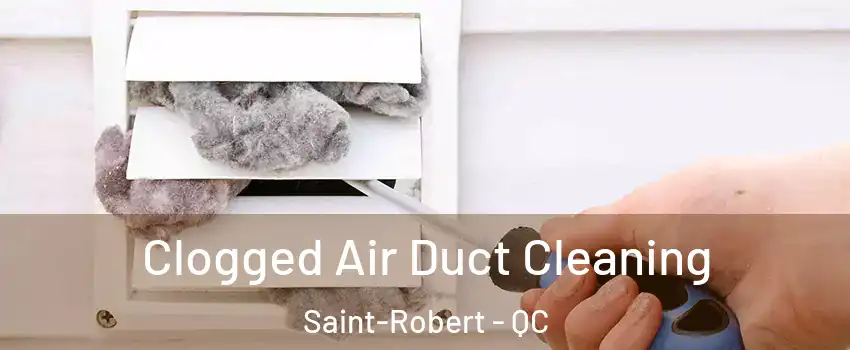  Clogged Air Duct Cleaning Saint-Robert - QC