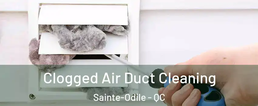  Clogged Air Duct Cleaning Sainte-Odile - QC