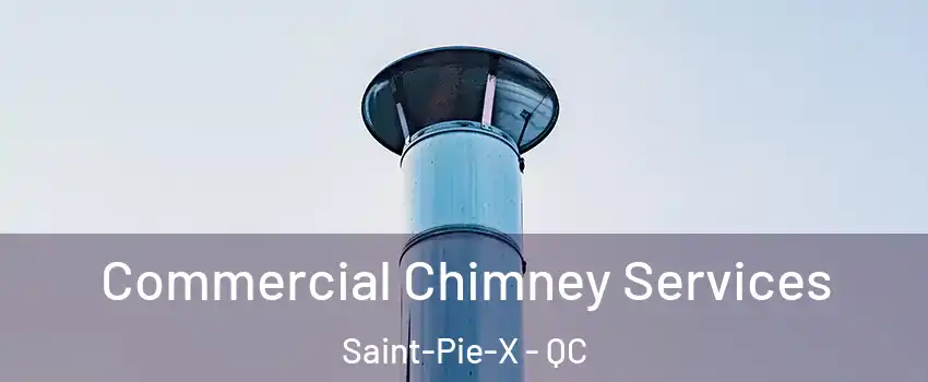  Commercial Chimney Services Saint-Pie-X - QC