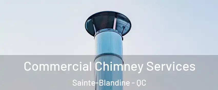  Commercial Chimney Services Sainte-Blandine - QC