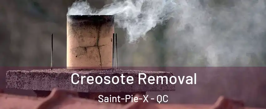  Creosote Removal Saint-Pie-X - QC