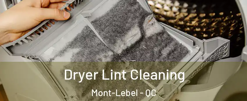  Dryer Lint Cleaning Mont-Lebel - QC