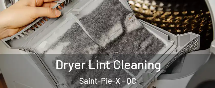 Dryer Lint Cleaning Saint-Pie-X - QC