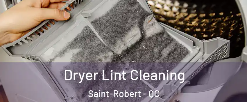 Dryer Lint Cleaning Saint-Robert - QC