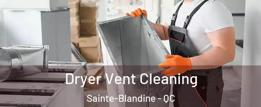  Dryer Vent Cleaning Sainte-Blandine - QC