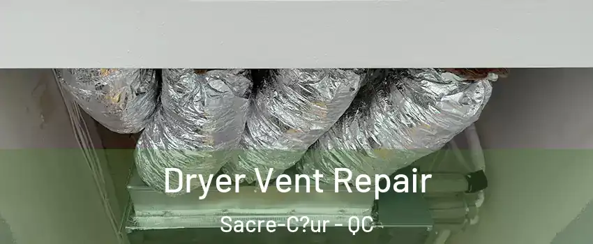 Dryer Vent Repair Sacre-C?ur - QC