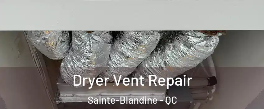  Dryer Vent Repair Sainte-Blandine - QC