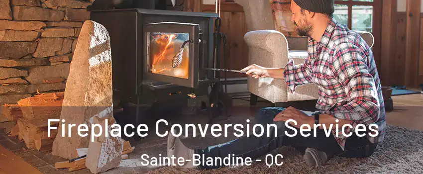  Fireplace Conversion Services Sainte-Blandine - QC