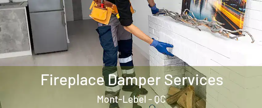  Fireplace Damper Services Mont-Lebel - QC