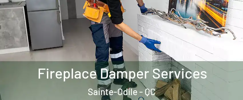  Fireplace Damper Services Sainte-Odile - QC