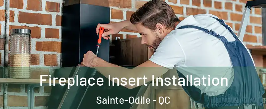  Fireplace Insert Installation Sainte-Odile - QC