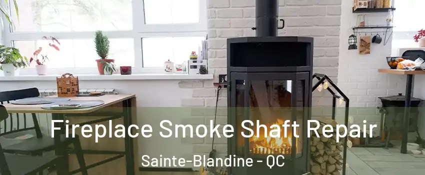  Fireplace Smoke Shaft Repair Sainte-Blandine - QC
