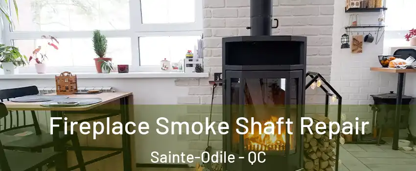  Fireplace Smoke Shaft Repair Sainte-Odile - QC