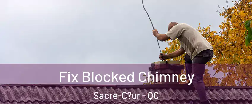  Fix Blocked Chimney Sacre-C?ur - QC