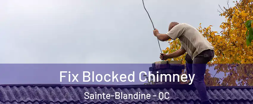  Fix Blocked Chimney Sainte-Blandine - QC