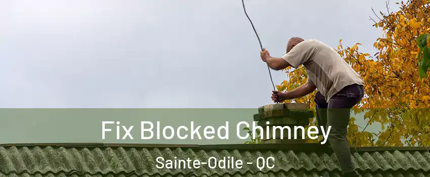  Fix Blocked Chimney Sainte-Odile - QC