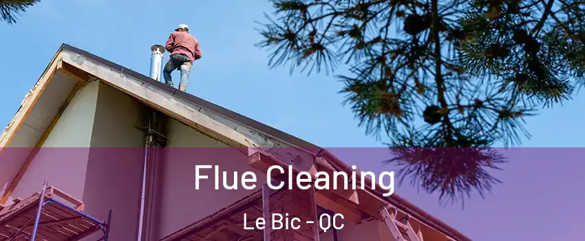  Flue Cleaning Le Bic - QC