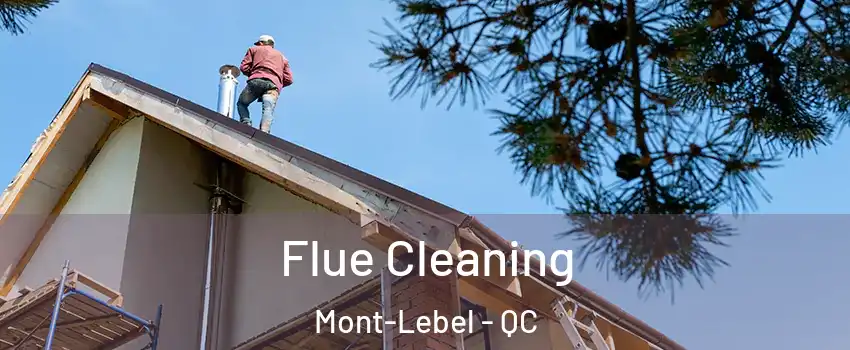  Flue Cleaning Mont-Lebel - QC