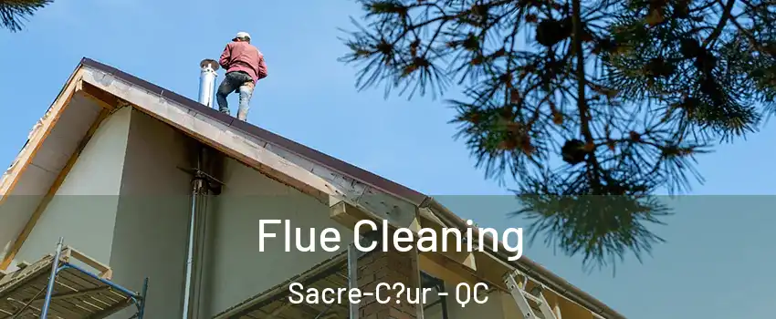  Flue Cleaning Sacre-C?ur - QC