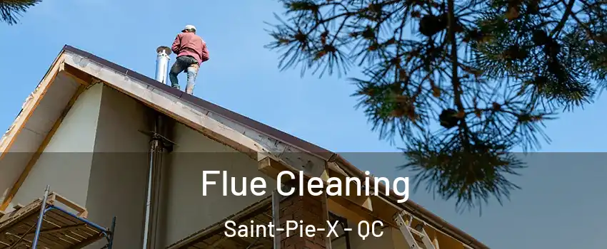  Flue Cleaning Saint-Pie-X - QC