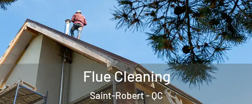  Flue Cleaning Saint-Robert - QC