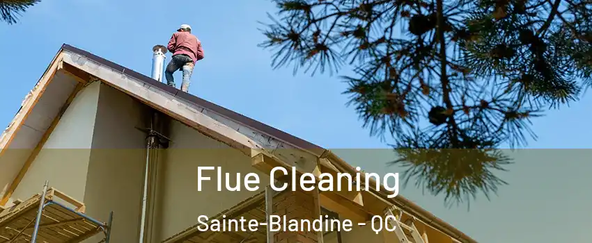 Flue Cleaning Sainte-Blandine - QC