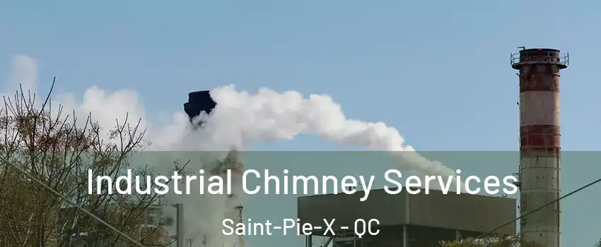  Industrial Chimney Services Saint-Pie-X - QC