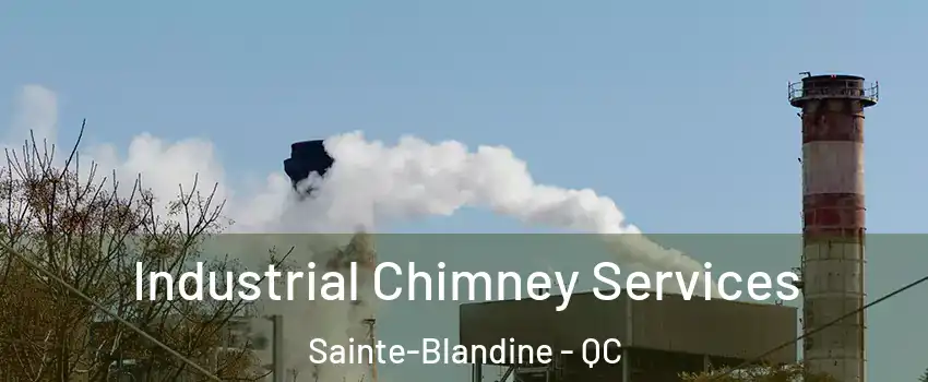  Industrial Chimney Services Sainte-Blandine - QC