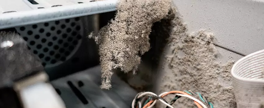 Clogged Dryer Vent Lint Cleaning in Rimouski, Quebec