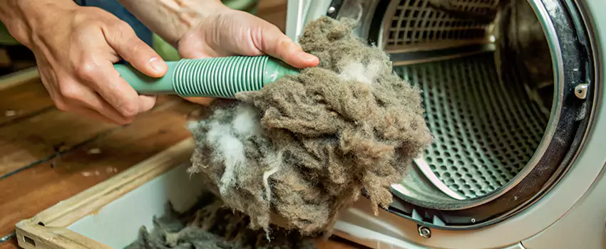 Best Dryer Lint Removal Company in Rimouski, Quebec