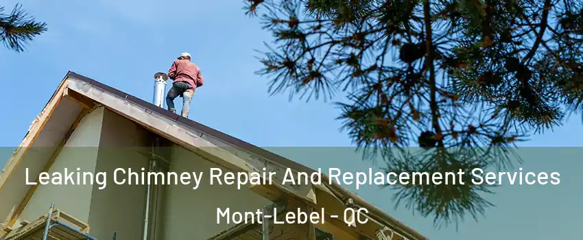  Leaking Chimney Repair And Replacement Services Mont-Lebel - QC