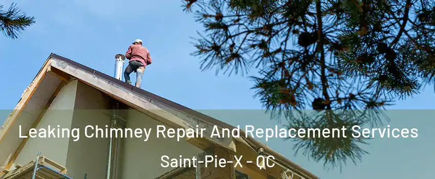  Leaking Chimney Repair And Replacement Services Saint-Pie-X - QC