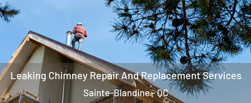  Leaking Chimney Repair And Replacement Services Sainte-Blandine - QC