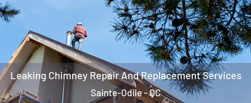  Leaking Chimney Repair And Replacement Services Sainte-Odile - QC
