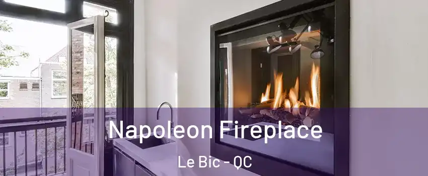  Napoleon Fireplace Le Bic - QC
