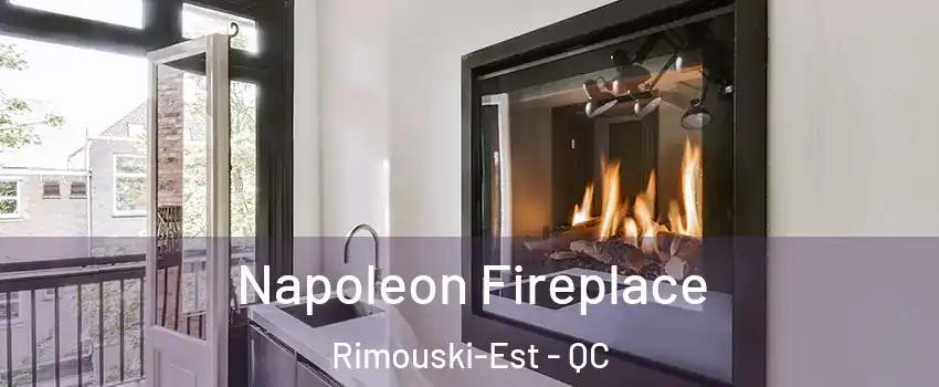  Napoleon Fireplace Rimouski-Est - QC