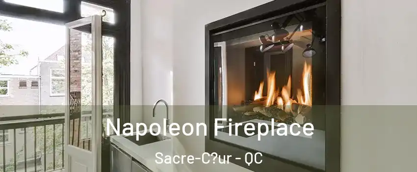  Napoleon Fireplace Sacre-C?ur - QC