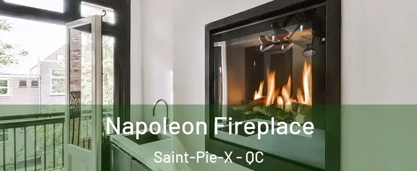  Napoleon Fireplace Saint-Pie-X - QC
