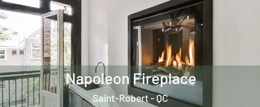  Napoleon Fireplace Saint-Robert - QC