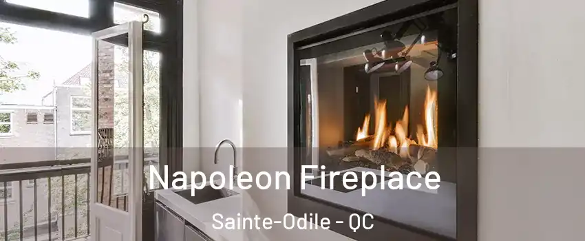  Napoleon Fireplace Sainte-Odile - QC