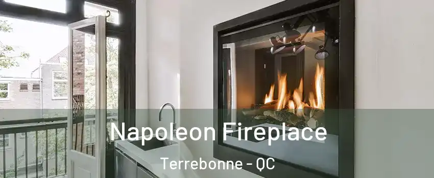  Napoleon Fireplace Terrebonne - QC