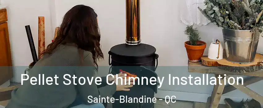  Pellet Stove Chimney Installation Sainte-Blandine - QC