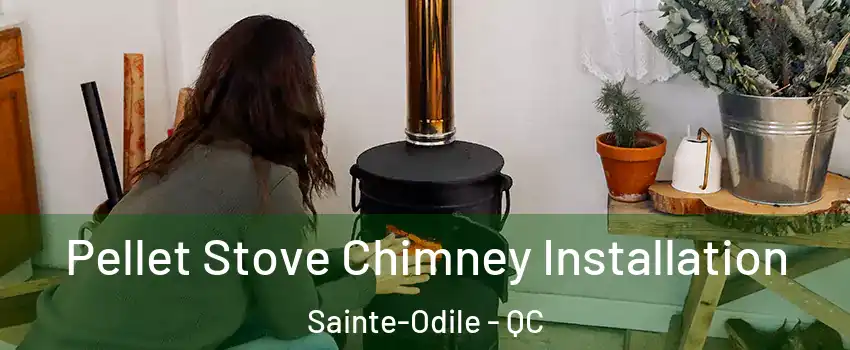  Pellet Stove Chimney Installation Sainte-Odile - QC