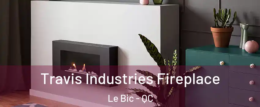  Travis Industries Fireplace Le Bic - QC