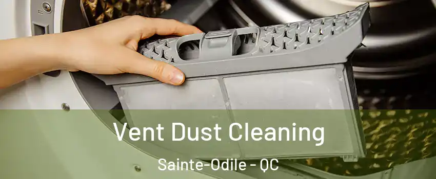 Vent Dust Cleaning Sainte-Odile - QC
