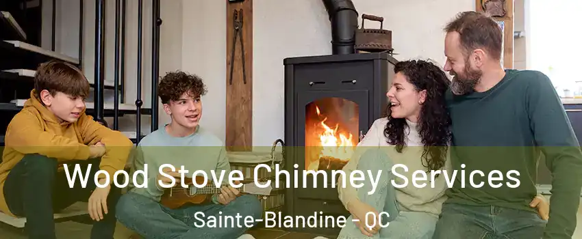  Wood Stove Chimney Services Sainte-Blandine - QC